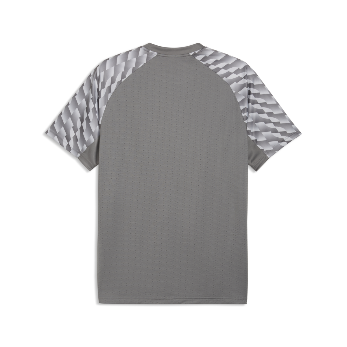 Puma TeamLiga 26 Jersey - Gray product image 2, provided for visual reference and product detail review