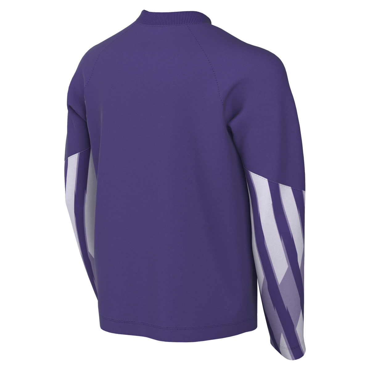 Nike Youth Dri-Fit Park V Gk L/S Jersey - Wild Grape product image 2, provided for visual reference and product detail review