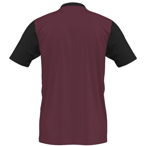 adidas Entrada 22 Custom Jersey Warminster - Maroon product image 2, provided for visual reference and product detail review