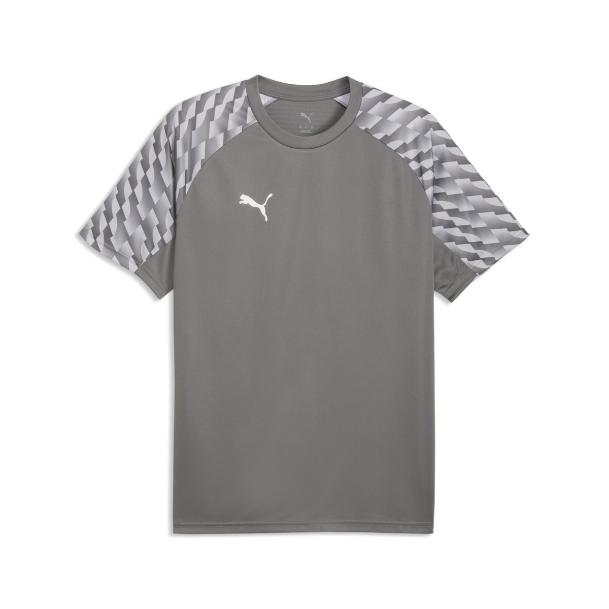 Puma TeamLiga 26 Jersey - Gray product image 1, provided for visual reference and product detail review
