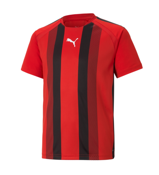 (PUMA-704927-01) Puma TeamLiga 25 Youth Stripe Jersey - Red product image 1, provided for visual reference and product