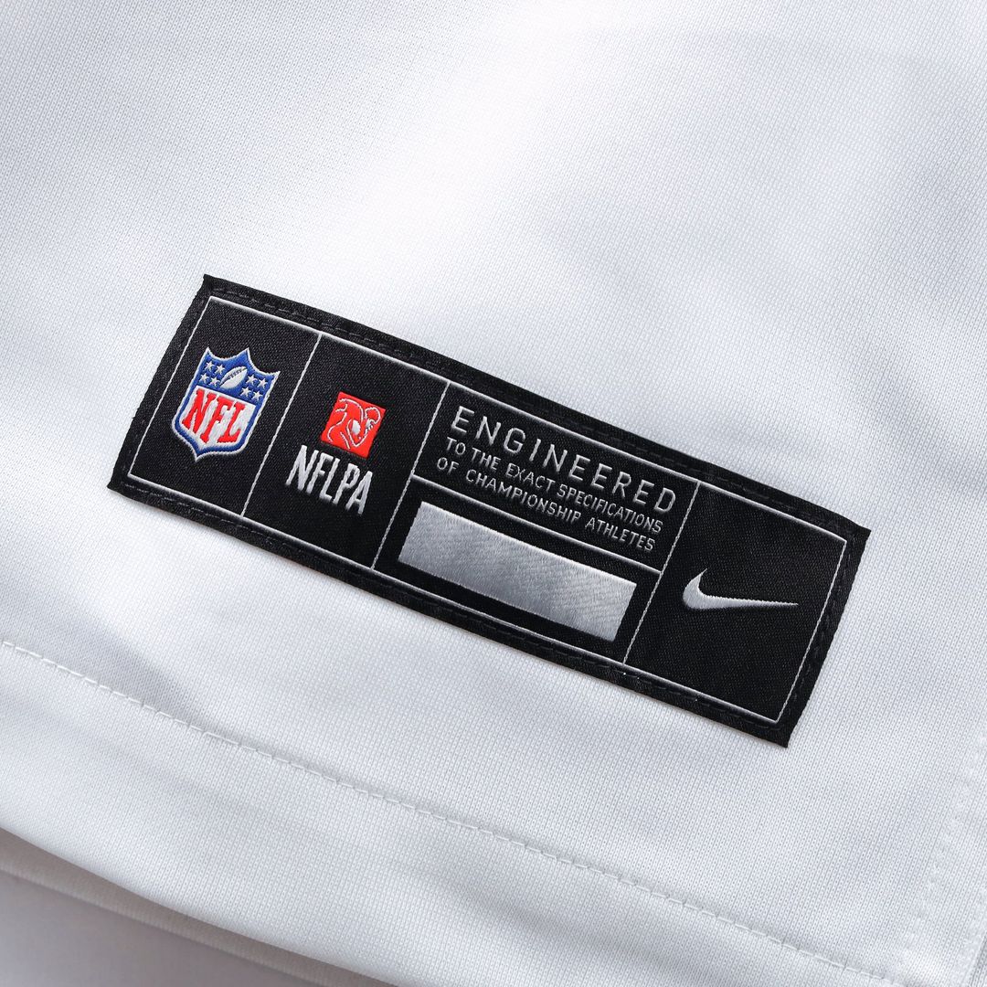 Men's Washington Commanders Sean Taylor Nike Black Hail product image 25