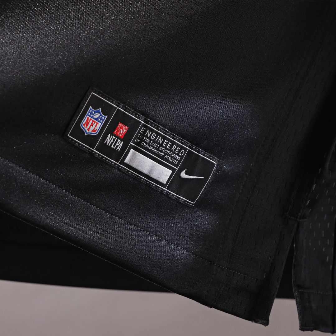 Men's Washington Commanders Sean Taylor Nike Black Hail product image 13