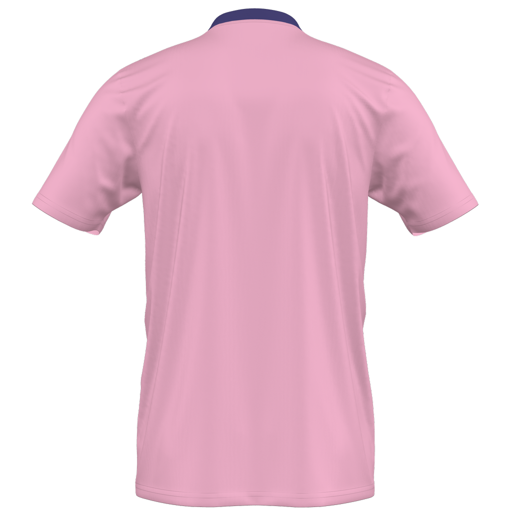 Entrada 22 Custom Jersey Youth (WSC SC) - Pink product image 2, provided for visual reference and product detail review