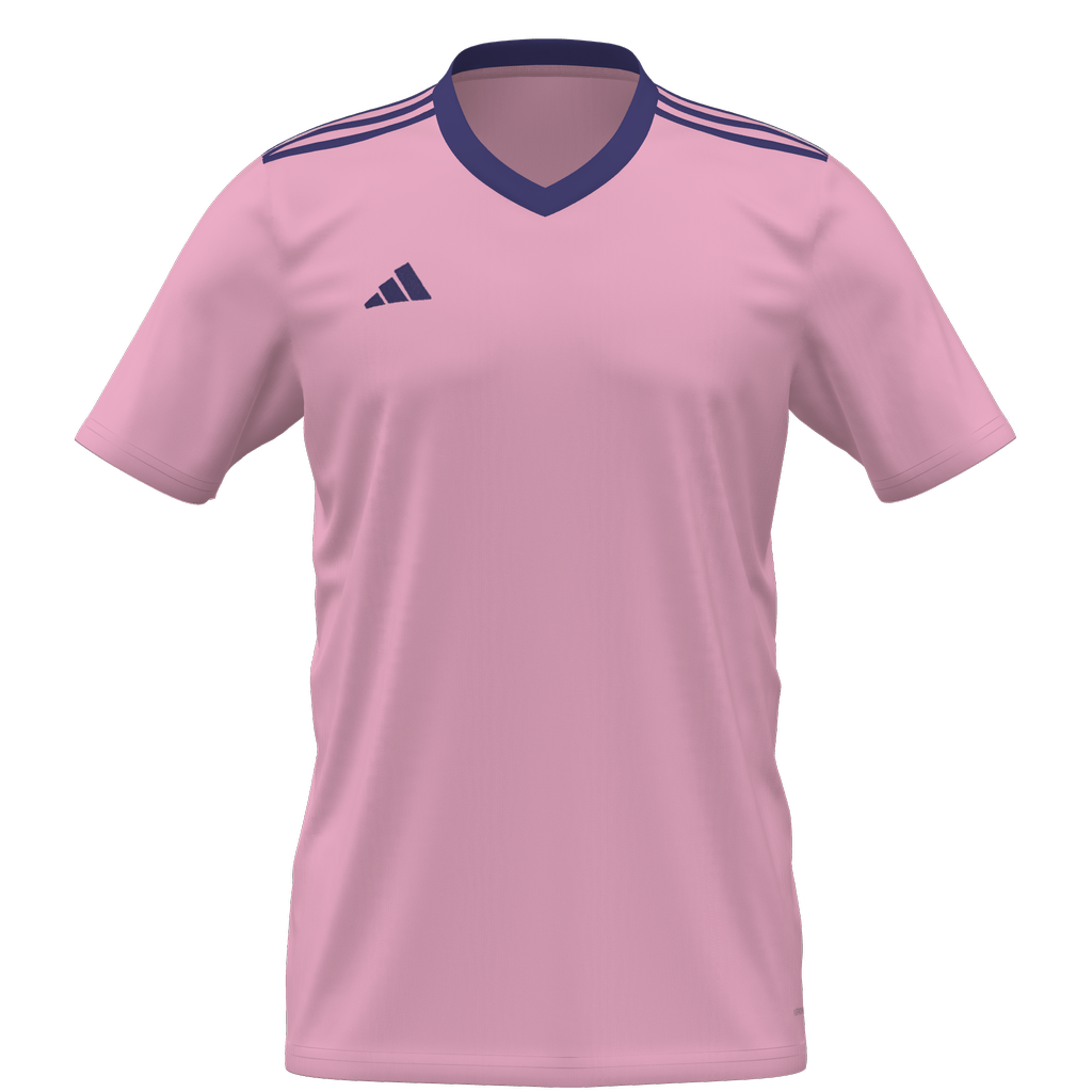 Entrada 22 Custom Jersey Youth (WSC SC) - Pink product image 1, provided for visual reference and product detail review