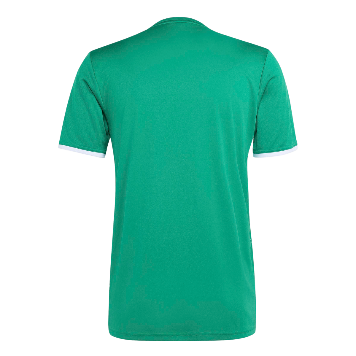 adidas Entrada 26 Graphic Jersey - Green product image 2, provided for visual reference and product detail review