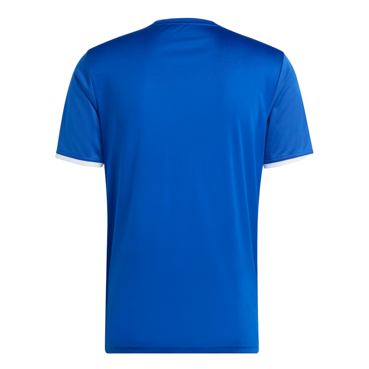 adidas Entrada 26 Graphic Jersey - Royal Blue product image 2, provided for visual reference and product detail review