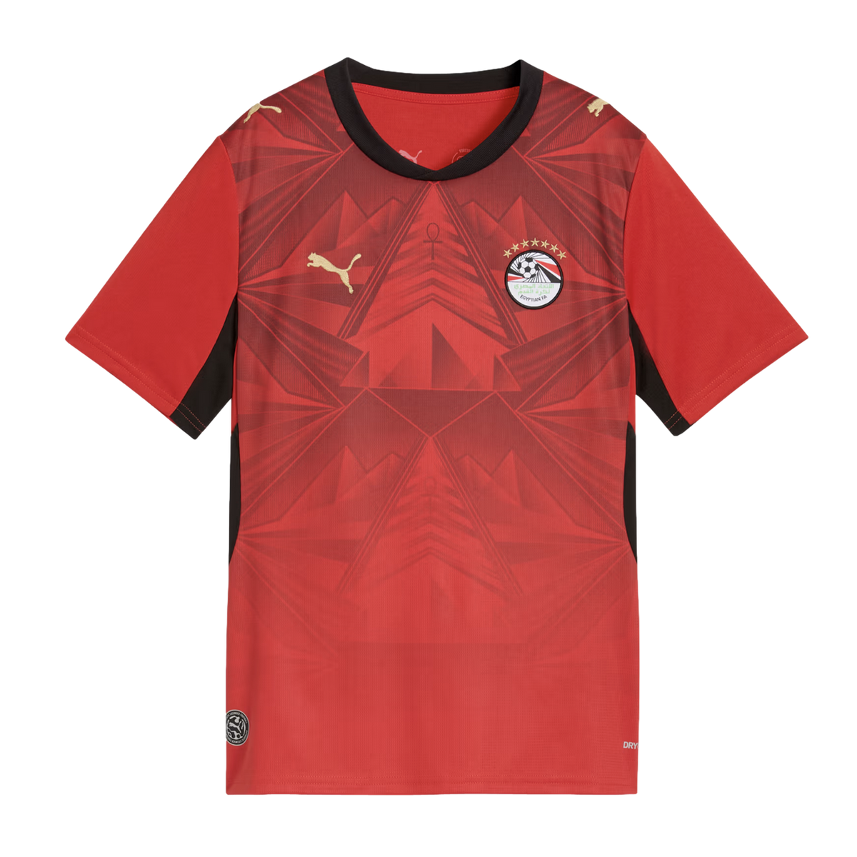 Puma Egypt 2026 Youth Home Jersey product image 1, provided for visual reference and product detail review