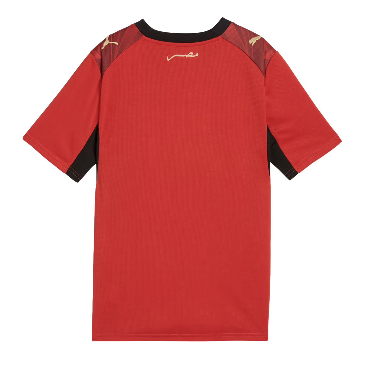 Puma Egypt 2026 Youth Home Jersey product image 2, provided for visual reference and product detail review