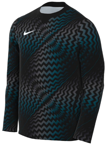 Nike Dri-Fit Gardien VI Gk L/S Jersey - Black product image 1, provided for visual reference and product detail review