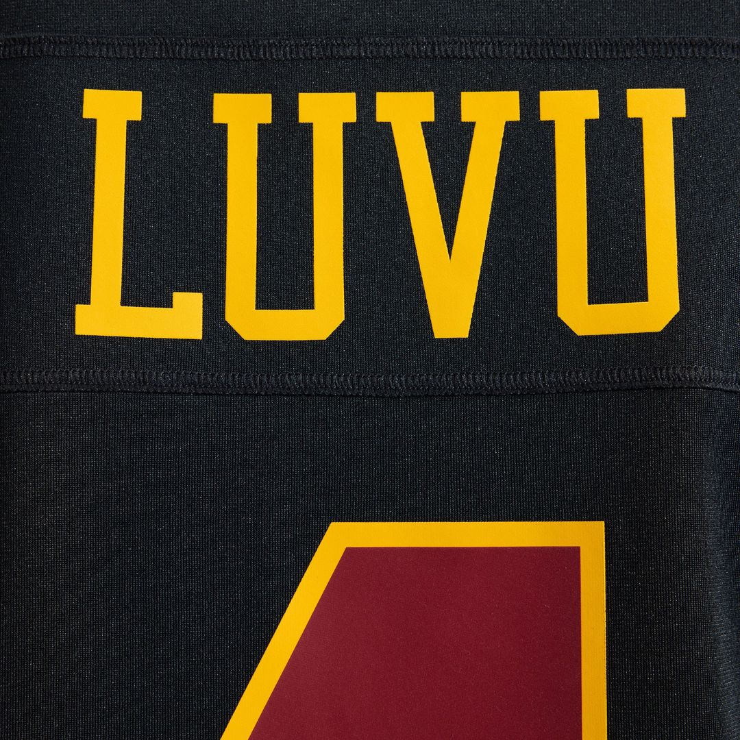 Men's Washington Commanders Frankie Luvu Nike Burgundy Game product image 45